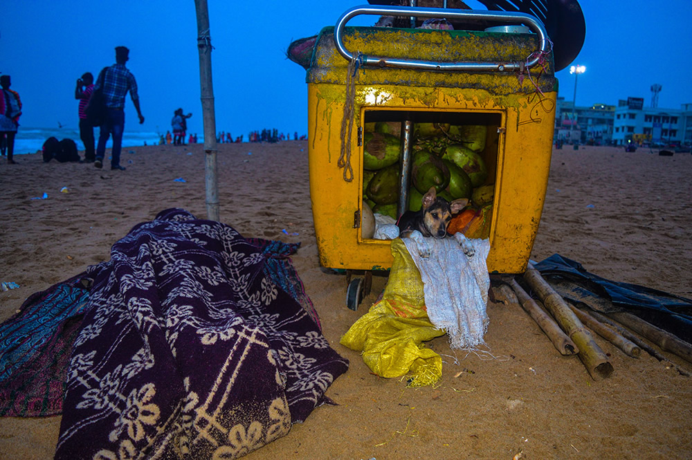 Beach Or Life: Photo Series By Indian Photographer Soumyabrata Roy